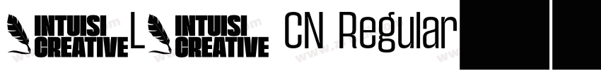 WLY CN Regular字体转换